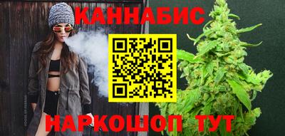 спиды Кингисепп