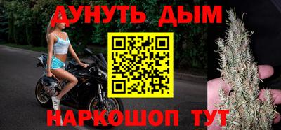 спиды Кингисепп