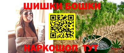 спиды Кингисепп