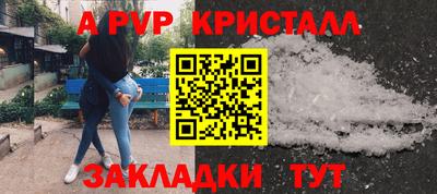 спиды Кингисепп