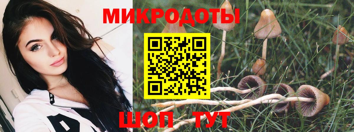 Галлюциногенные грибы MAGIC MUSHROOMS  Вход с VPN  Костомукша 