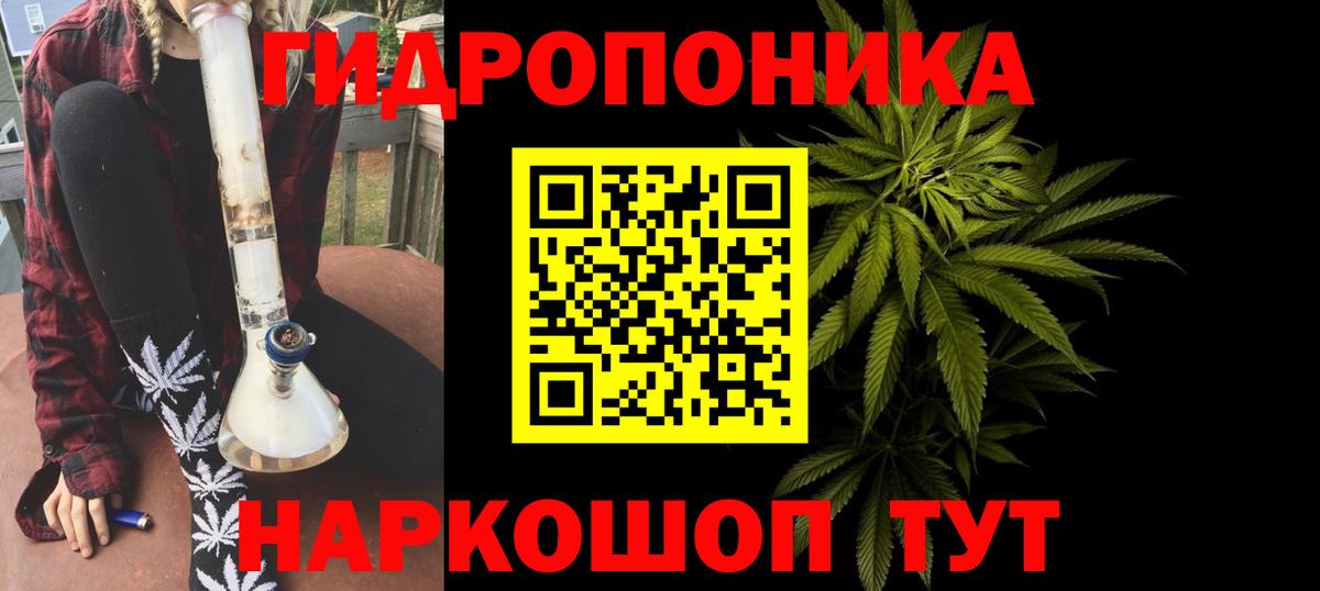 Бошки Шишки семена Костомукша